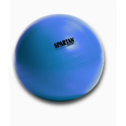 Gimnasztikai labda Power 55 cm kék